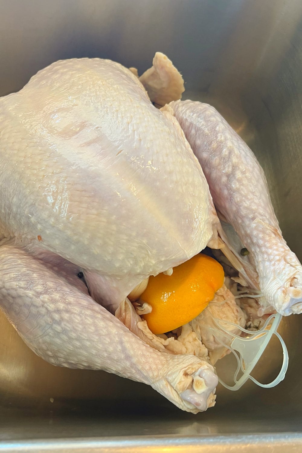 A turkey ready stuffed with aromatics, ready to be brined. 