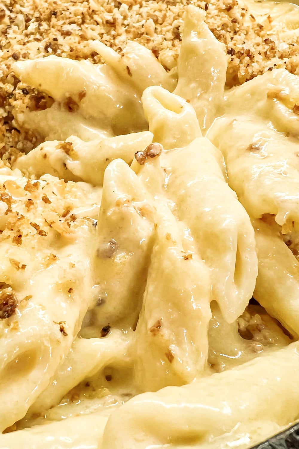 Penne pasta covered with cheese sauce and topped with bread crumbs. 