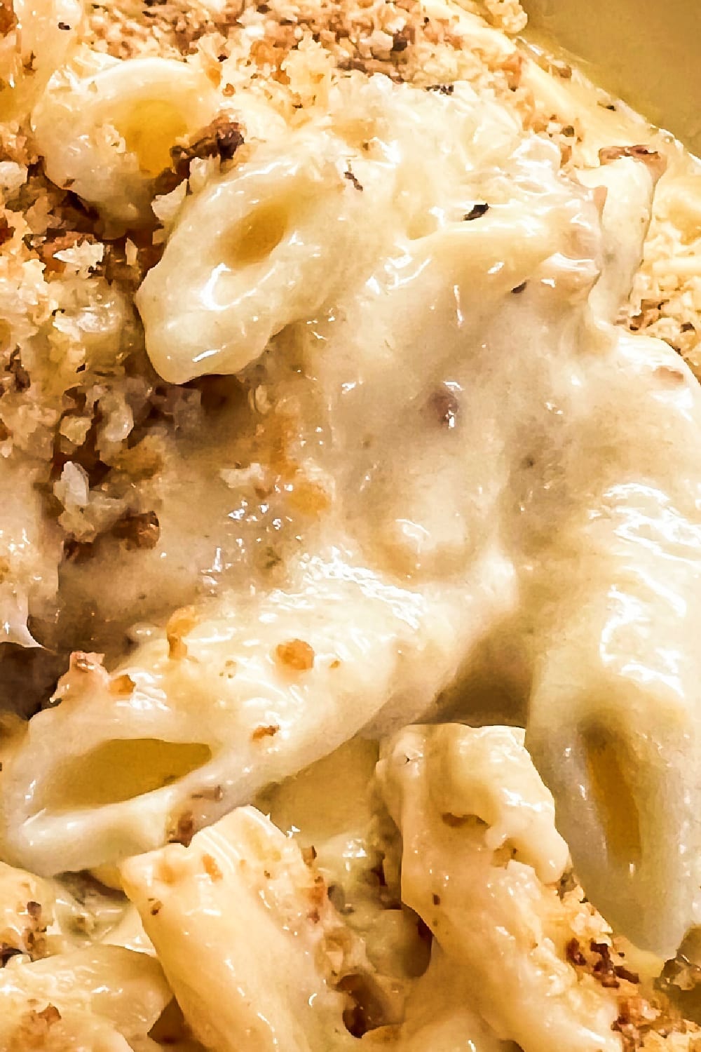 Pasta smothered with a creamy cheese sauce. 