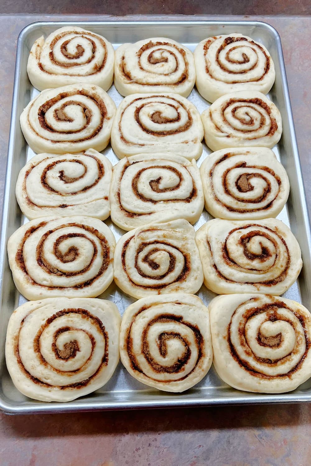 Cinnamon rolls that have gently raised and are ready to be baked. 