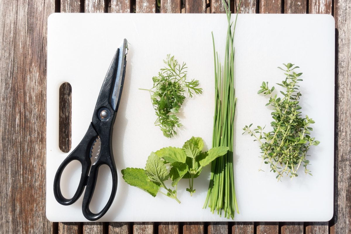 Why Kitchen Shears Are the Best Tool You Aren't Using « Food Hacks ::  WonderHowTo