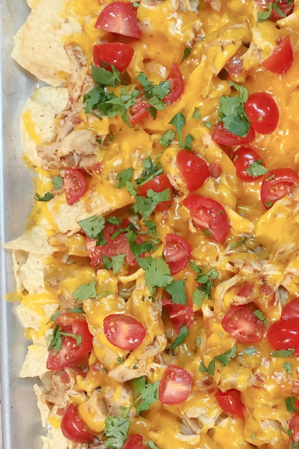 A sheet pan full of Drunken Chicken Nachos, hot and ready to eat. 