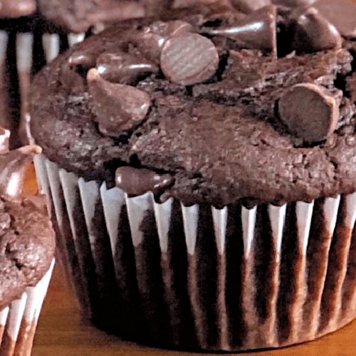 A warm chocolate chocolate-chip muffin ready to be enjoyed.