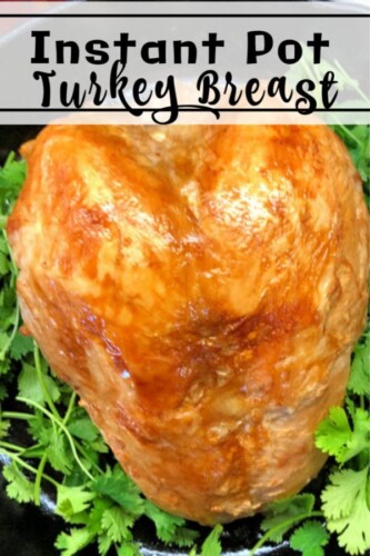 How to Cook an Instant Pot Frozen Turkey Breast - ChefAlli.com