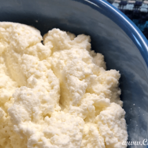 A bowl of freshly made ricotta cheese.