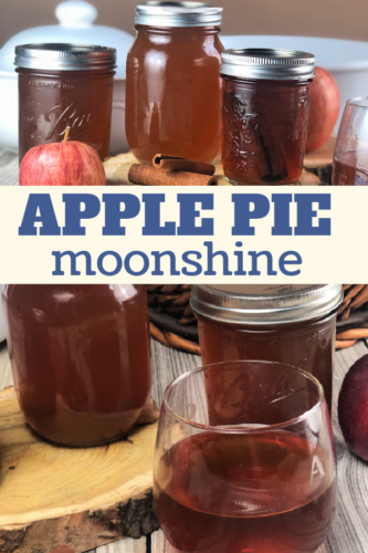Instant Pot Apple Pie Moonshine - Chef Alli