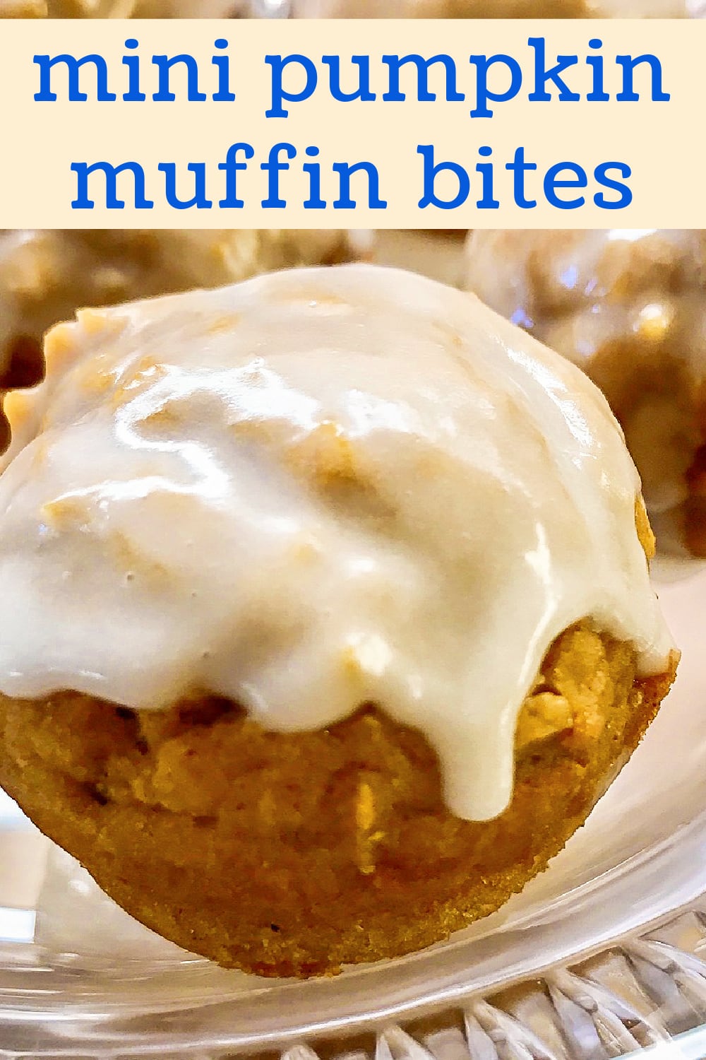 A single mini pumpkin muffin bite waiting to be eaten. 
