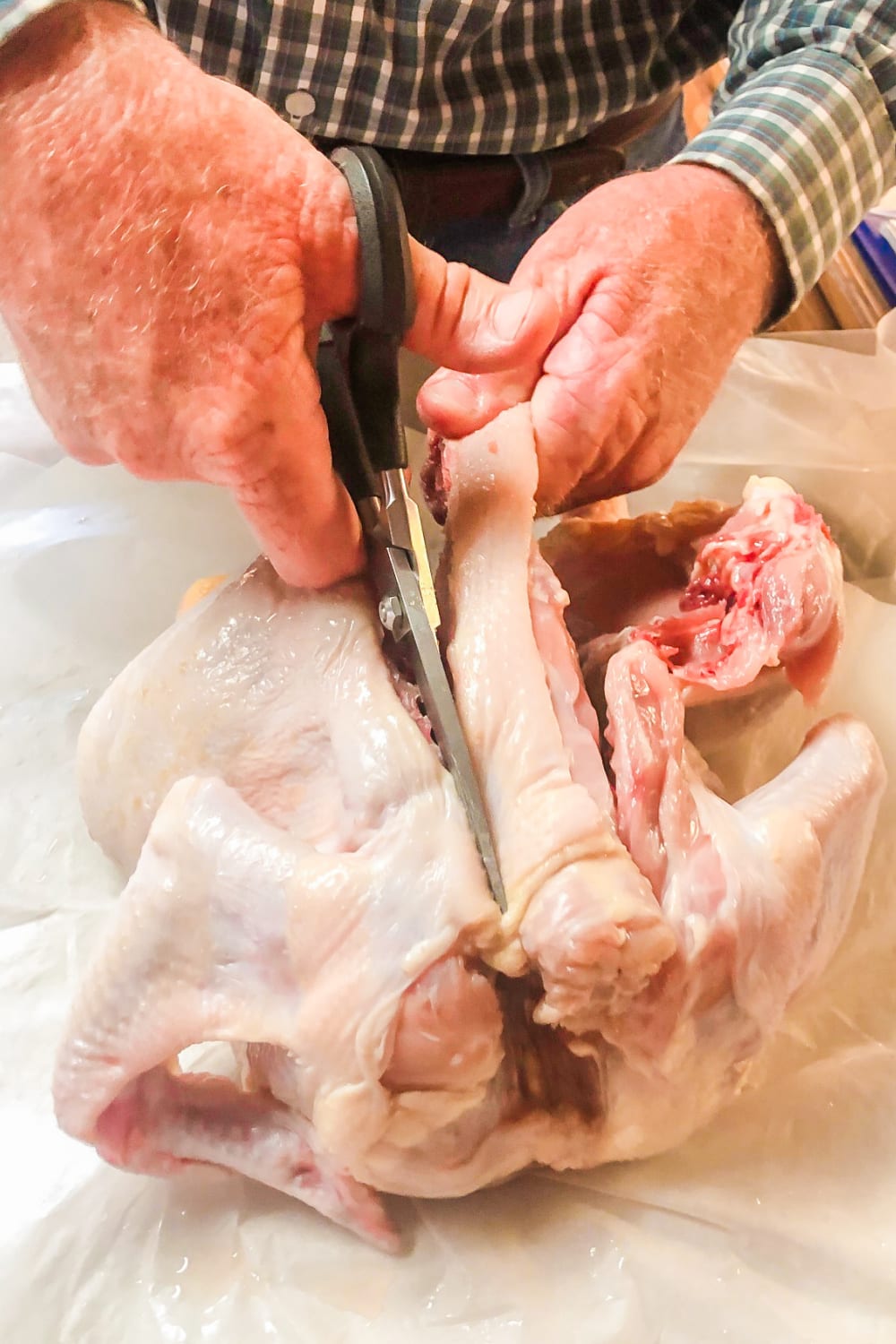 A whole chicken being spatchcocked by removing the spine. 