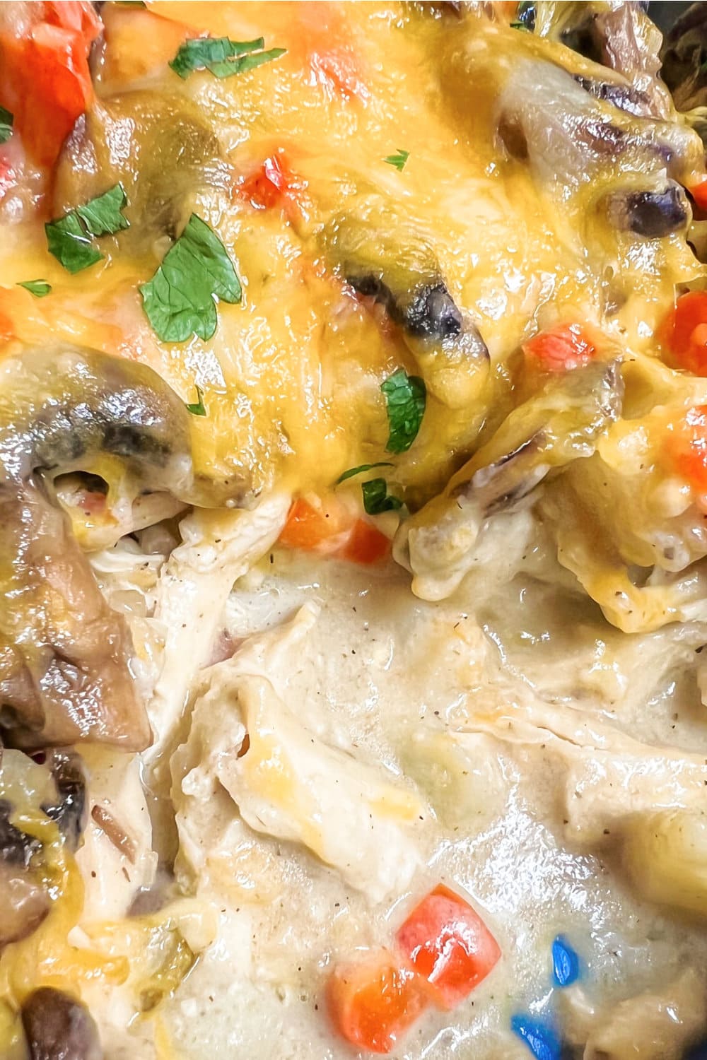 A big pan of Rotisserie Chicken Casserole, warm from the oven, 