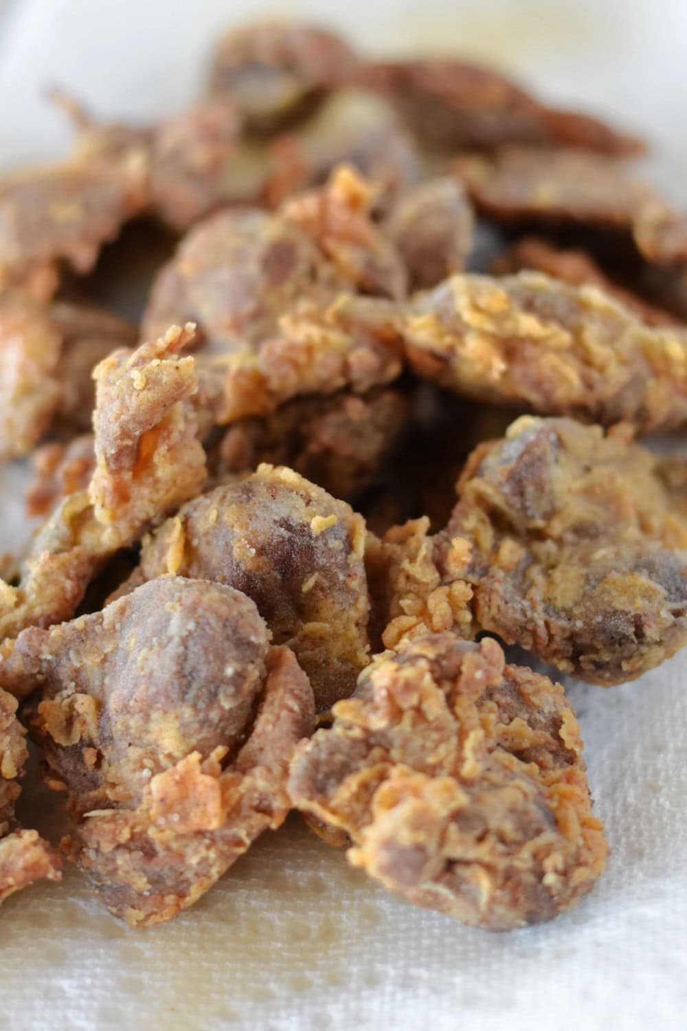 Instant Pot Chicken Gizzards Chef Alli