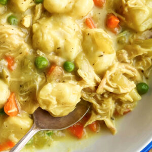 A big bowl of Instant Pot Chicken and Dumplings ready to enjoy.