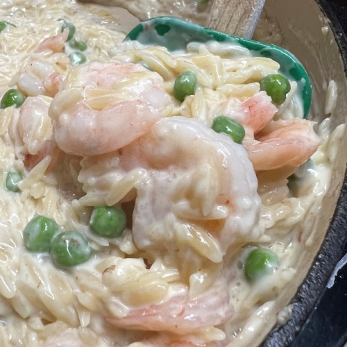 A big spoonful of creamy orzo pasta with baby peas and shrimp in a skillet.