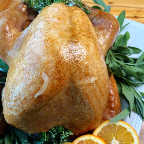 Beautiful and golden brown, an electric roaster turkey is ready to be enjoyed.