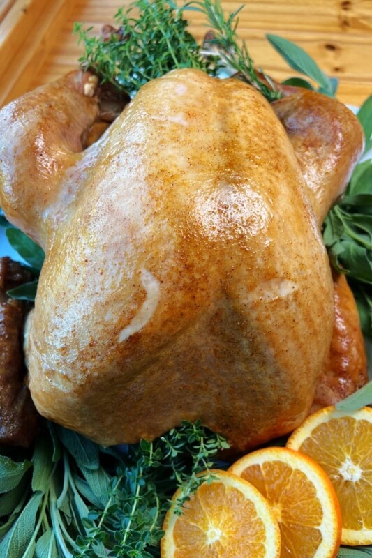 Turkey in an Electric Roaster
