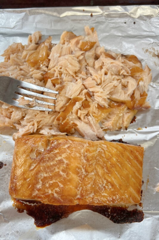 Shredding cooked salmon with a fork. 