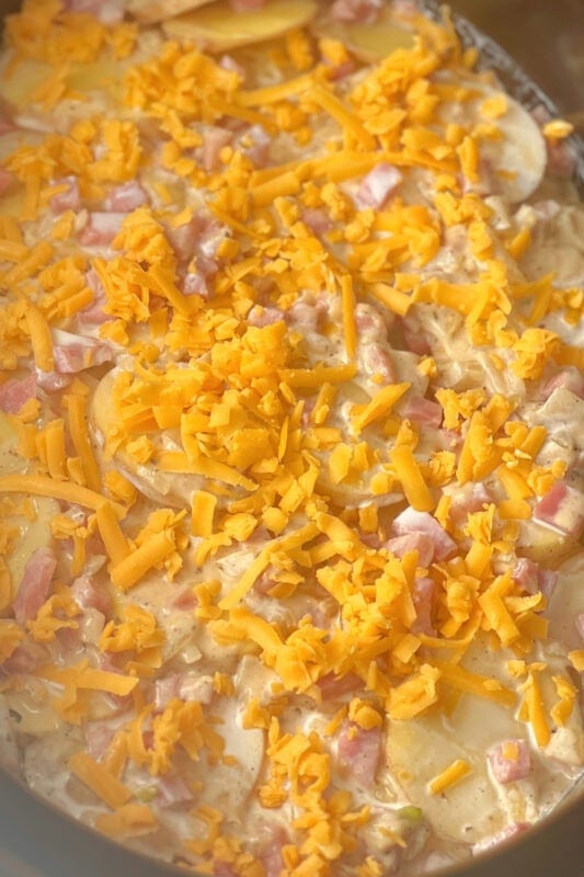 Layered potatoes with cream sauce, ham and cheese in the slow cooker. 