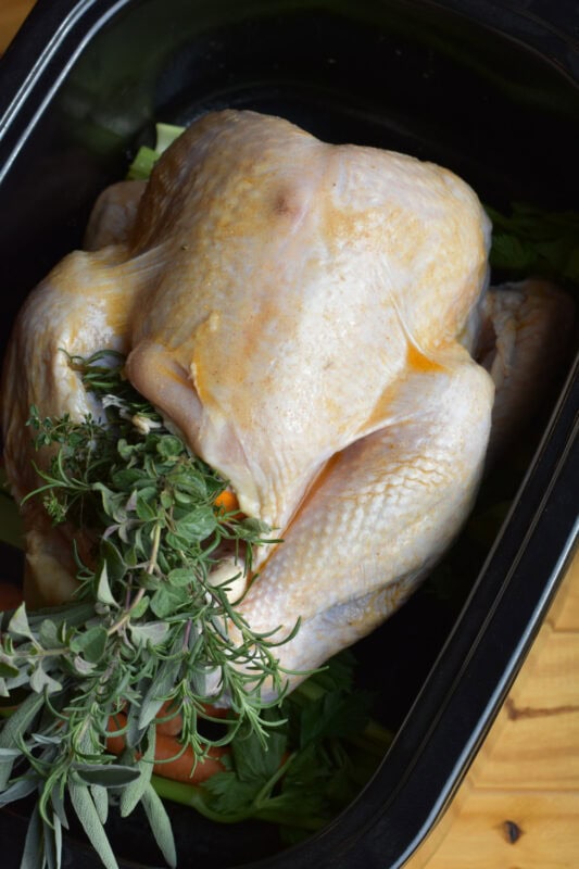 An oiled fresh turkey that has been loaded with aromatics for roasting.