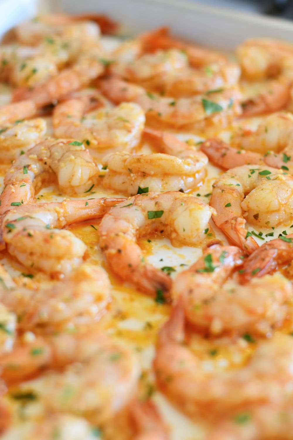 Perfectly cooked medium sized shrimp on a white sheet pan. 