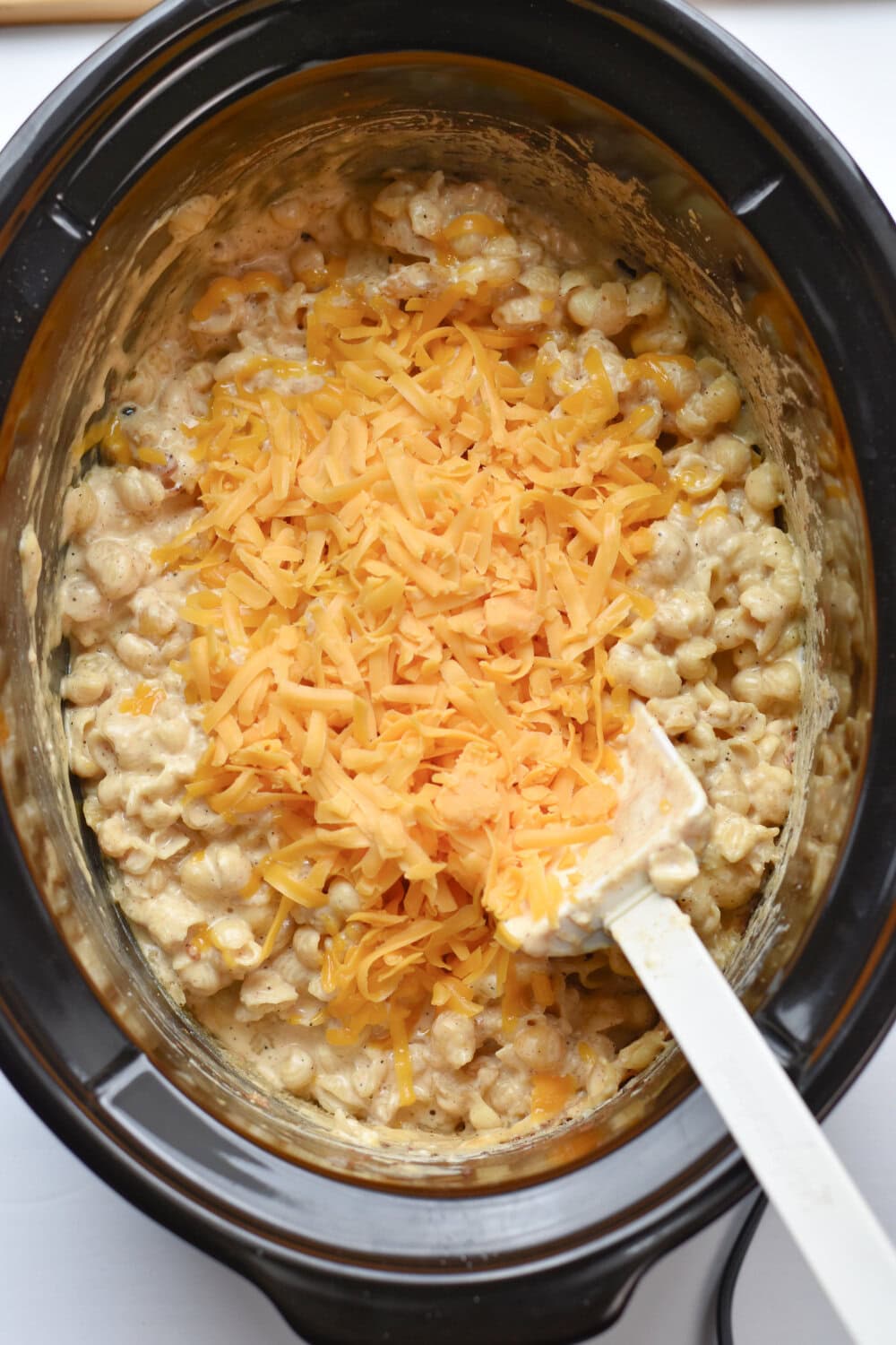cooked-mac-cheddar-cheese Cooked pasta shells with cheddar cheese on top.