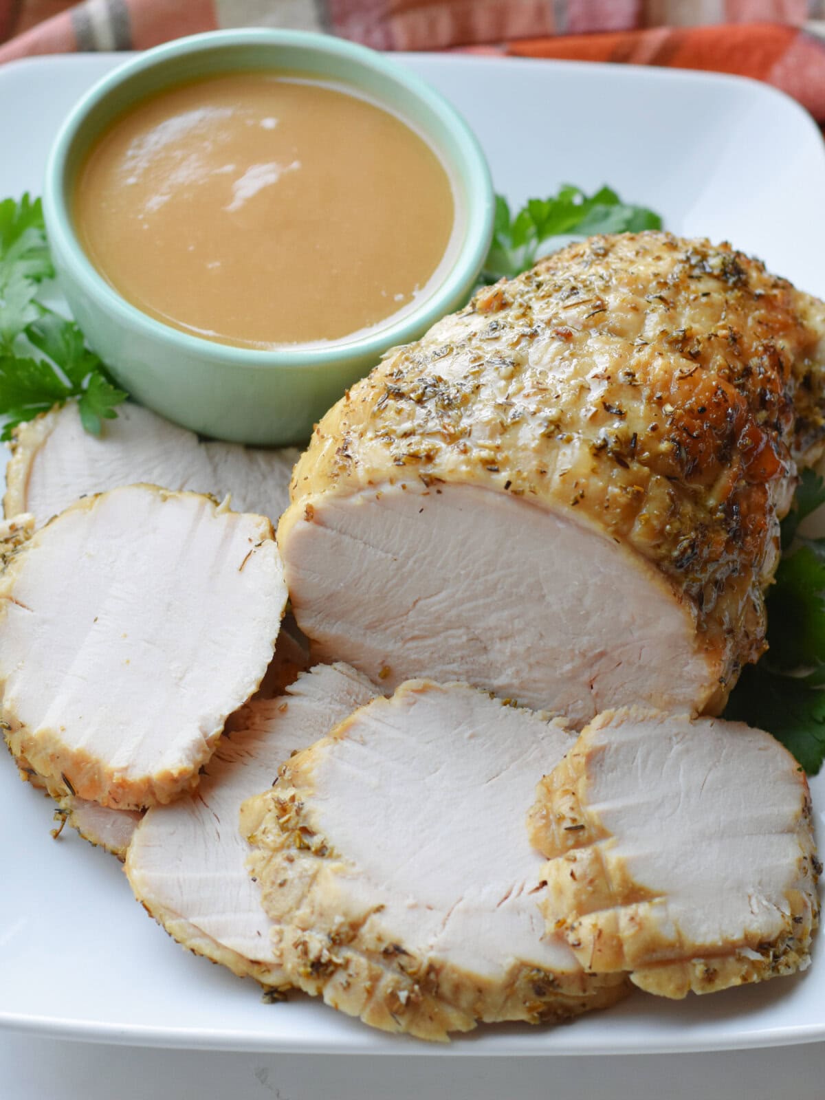 Boneless Turkey Breast made in an Electric Roaster Oven with a serving of 