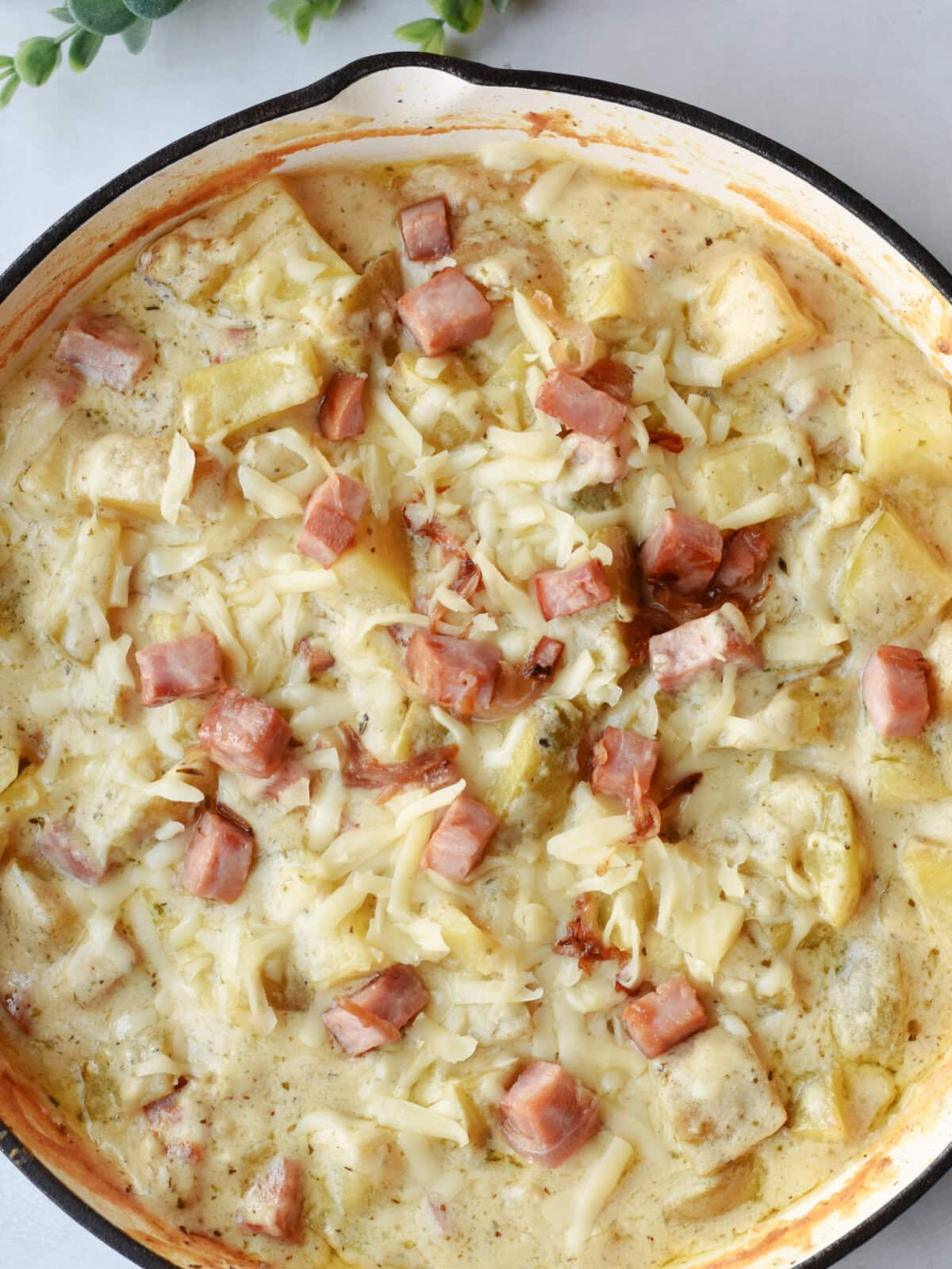 ham-steak-potatoes-oven Ham Steak and Creamy Potatoes cooked in the oven in a cast iron skillet.
