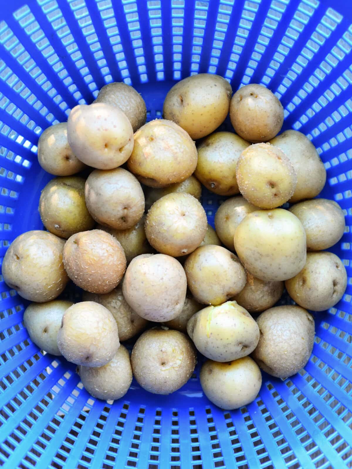 Sunshine-cake-batter