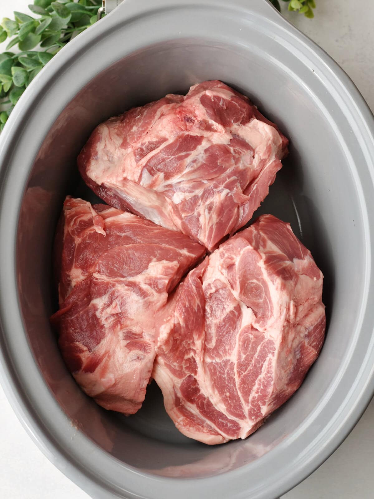 Pork shoulder cut up into four pieces in a slow cooker. 