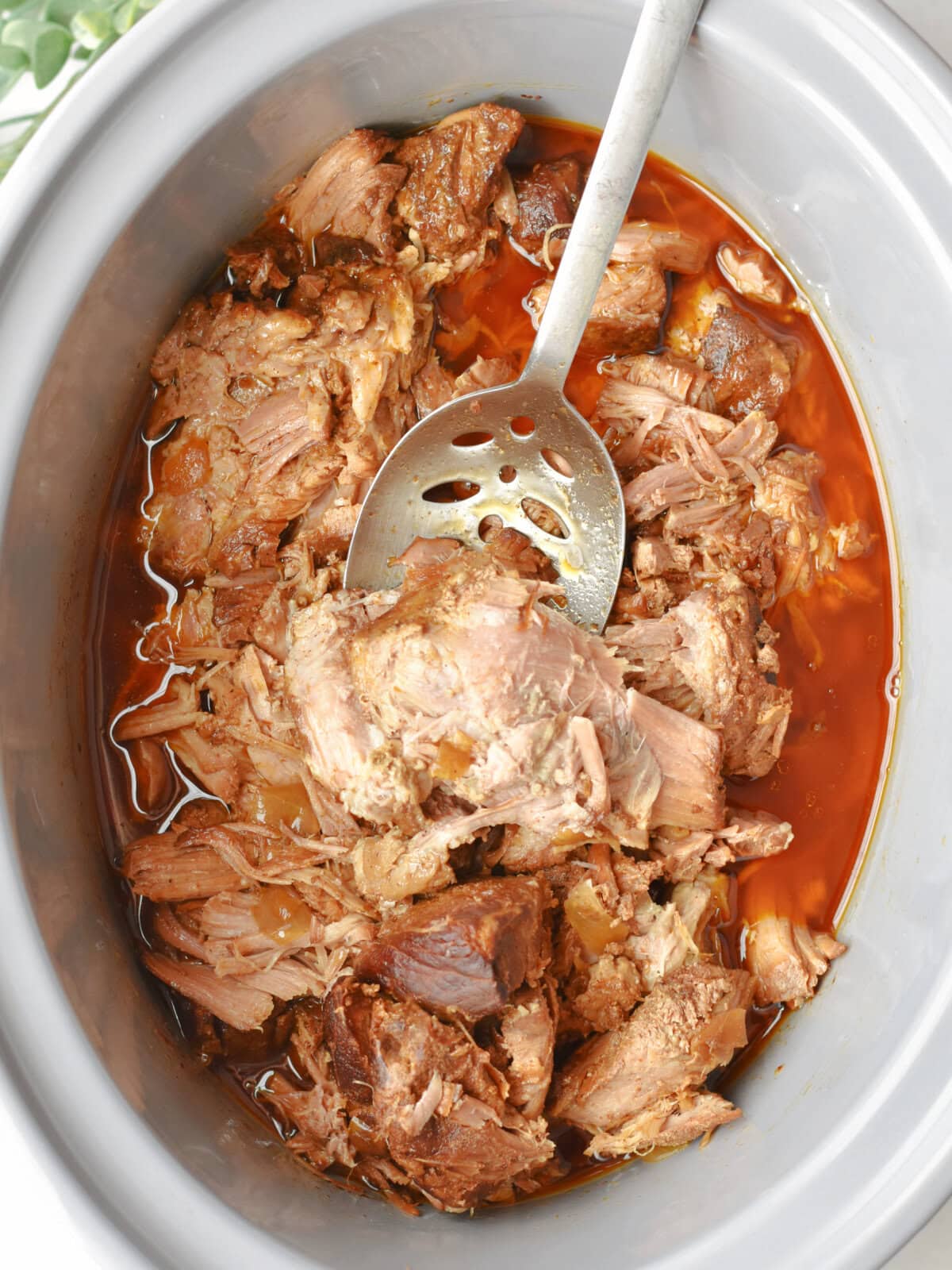 Chunks of pork in a slow cooker with liquid. 