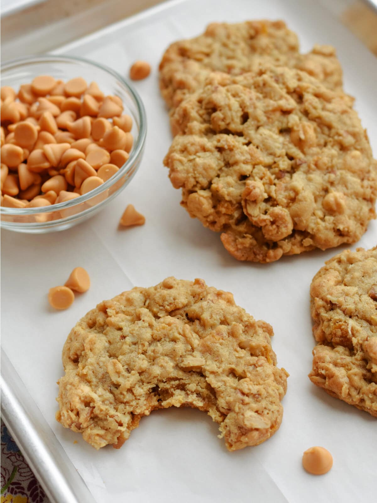 Cooled and delicious butterscotch oatmeal cookies on a white plate with butterscotch morsels and a bite taken out of a cookie. 