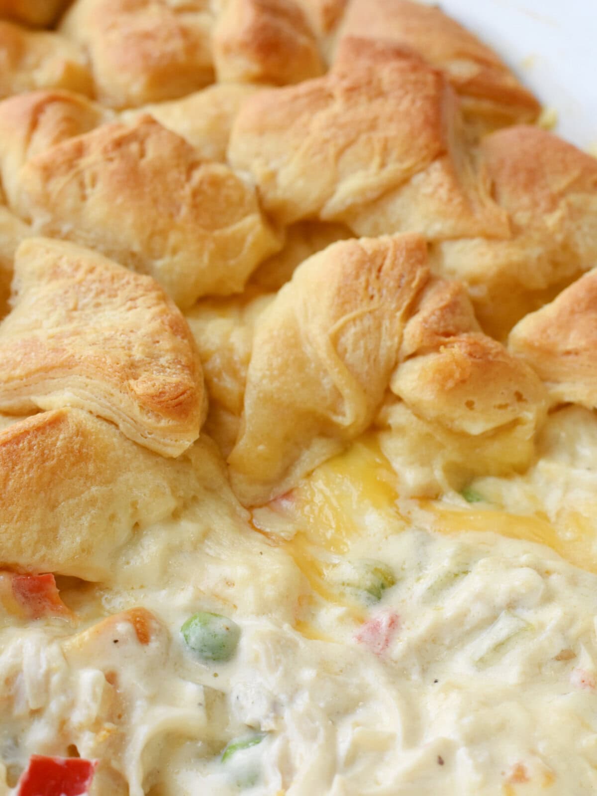 Creamy chicken and biscuits served in a old fashioned style. 