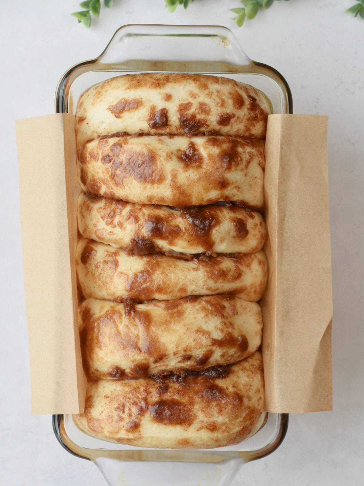 cinnamon-pull-apart-bread-rising Rhodes bread dough rising.