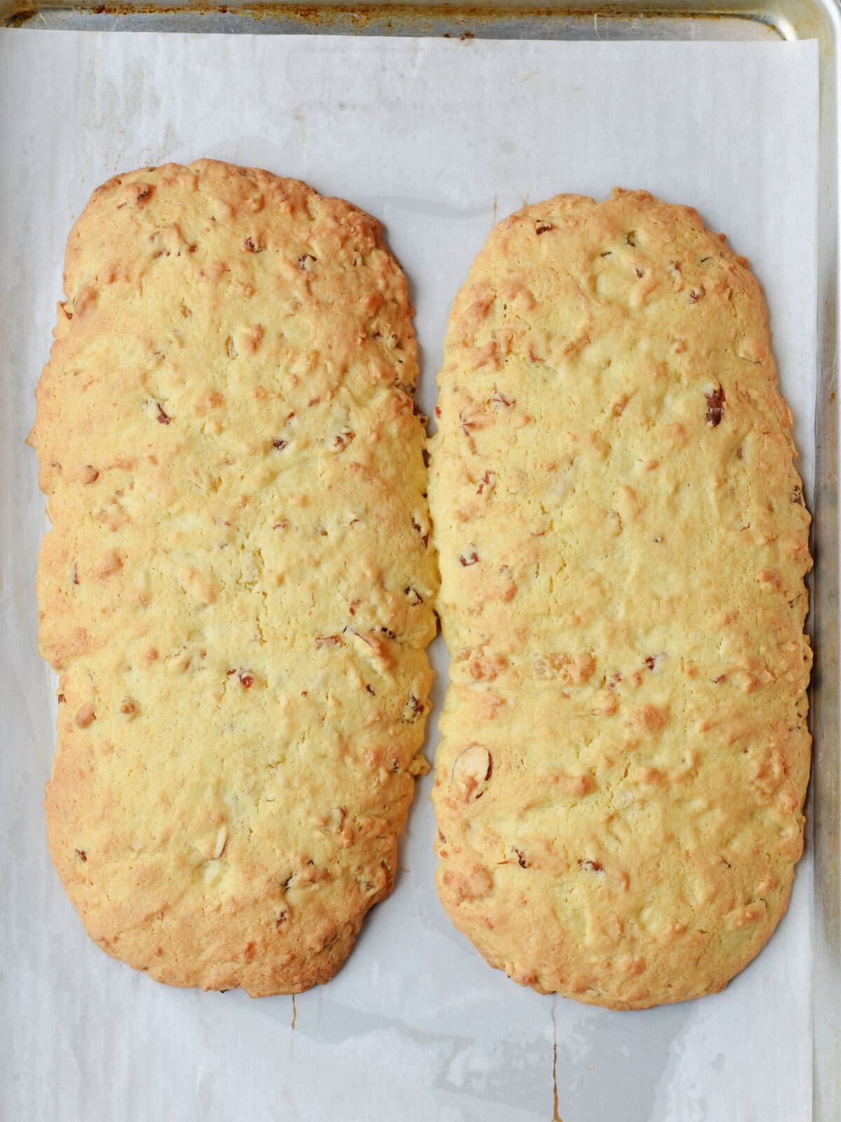 Loaves of biscotti perfectly browned before slicing. 