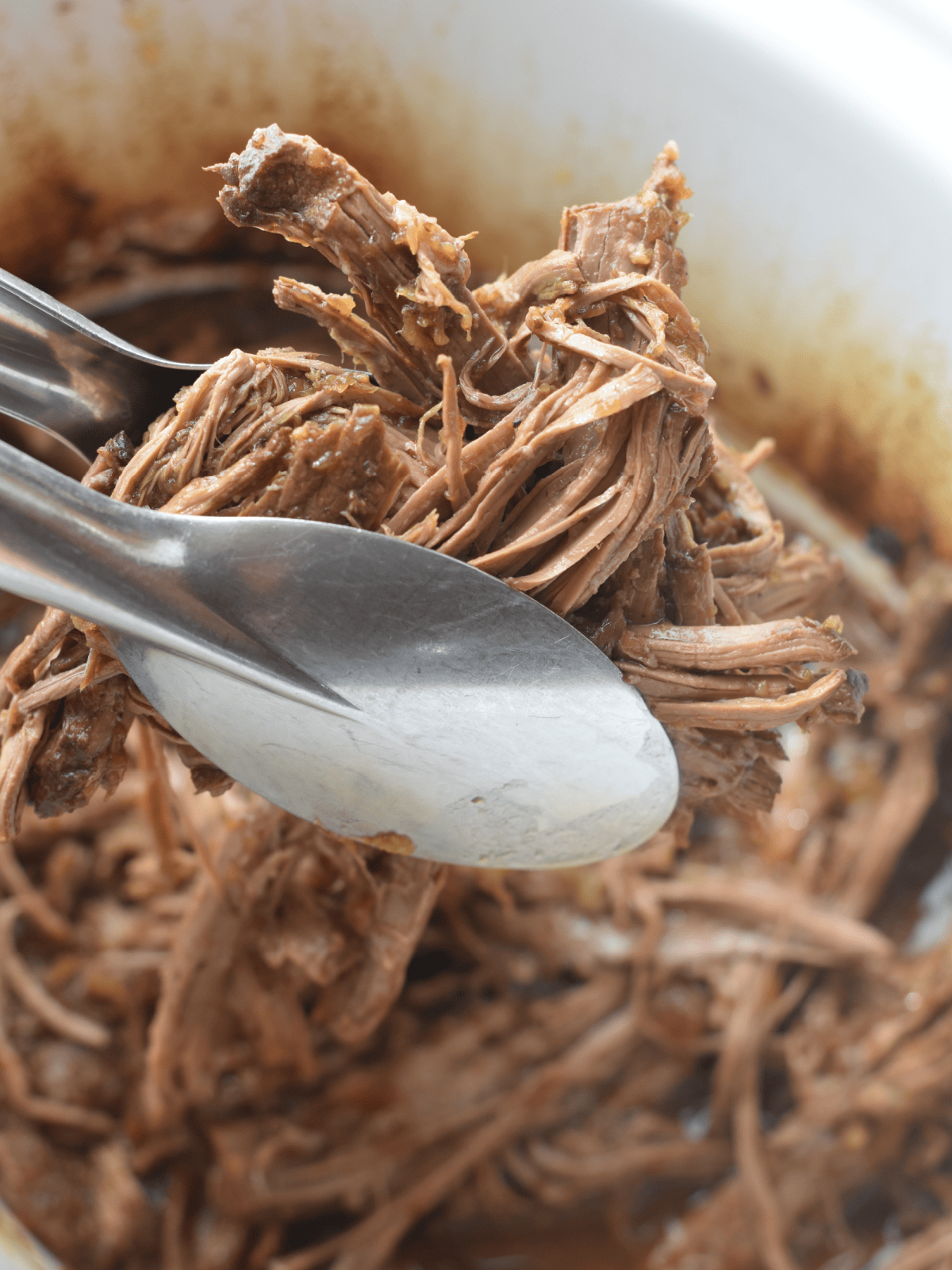 Bottom Round Roast in the Crock Pot being shredded and help to the camera with tongs. 